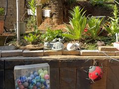 -鱼乐岛餐厅·户外花园主题餐厅