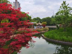 -中山公园
