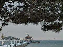 -栈桥景区