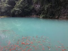 -武隆天坑地缝国家地质公园