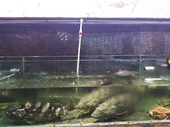 -旺角餐厅(潮州大道店)