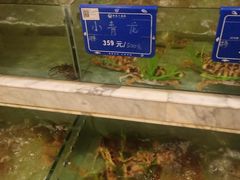 -国惠大酒楼(仓山万达店)