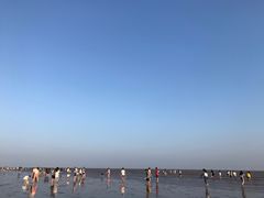 -南汇新城海滩