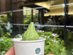 -雪绿茶博物馆