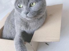 -纳吉亚猫专科动物医院·北北分院