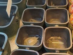 -烹湘·鲜炒湖南土菜(海珠店)