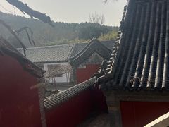 -泰山风景名胜区-普照寺