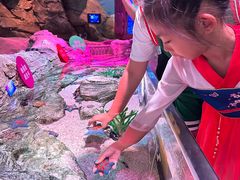 -沈阳海洋探索中心