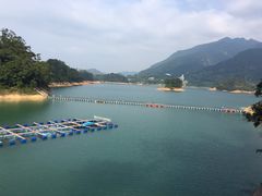 -广州市流溪河国家森林公园