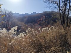 -玉渡山自然风景区