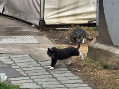 -漫渡庄绿岛花园•隐世庭园菜(滨湖店)