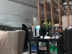 -虹桥机场国航贵宾室v8