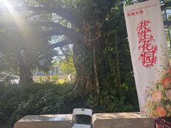 -南宁南湖公园
