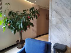 -柏乐口腔医院·舒适化无痛种植牙中心(东盟商务区院)