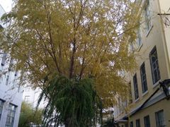 -哈尔滨师范大学(江南校区)
