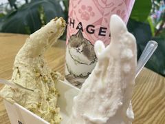 -野人先生Gelato(上海长宁龙之梦店)