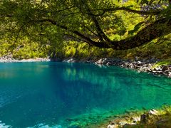 -叠溪松坪沟景区