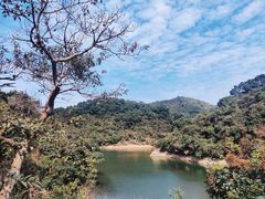 -梧桐山风景名胜区