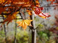 景点-玉渡山自然风景区