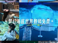 -海合安武汉极地海洋公园