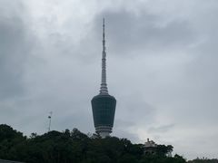 -梧桐山风景名胜区