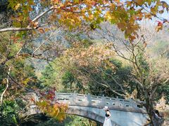-广州市石门国家森林公园