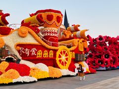 -荷兰花海