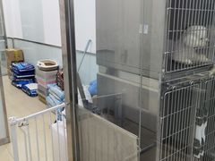 -宠福鑫康馨动物医院·骨科·眼科