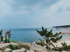 -养马岛旅游度假区