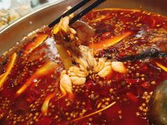 -蜀今朝美蛙鱼头火锅(筠连店)