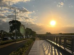 -南汇嘴观海公园