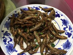 -史记安仁鱼头(浙闽赣食用菌交易中心店)