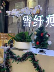 -雪纤瘦美容中心