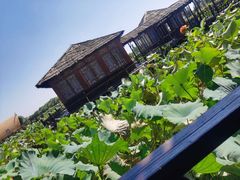 -军山湖云水间水上餐厅(进贤店)