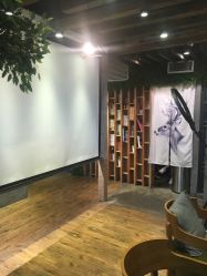 -V-STAR威斯达•高级私人定制