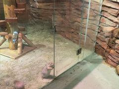 -正佳雨林生态植物园