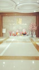 -玛丽亚妇产医院