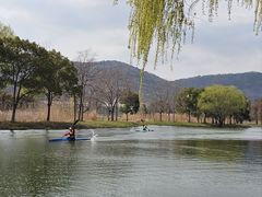 -长广溪湿地公园