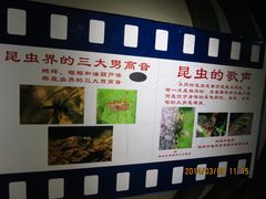 IMG_2821-上海昆虫博物馆