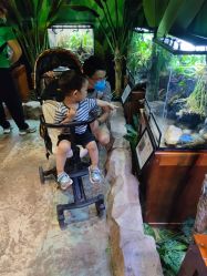 -酷嗒动物文化乐园(cutezoo西溪乐天城店)