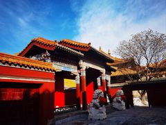 -大召无量寺