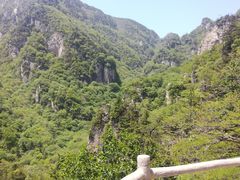 -牛背梁国家森林公园