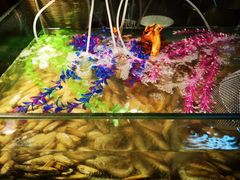 -马哥孛罗酒店·SAVVY全日餐厅