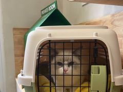 -伟伟宠物医院·CT影像中心·瑞派犬猫综合性门诊(汉口总院)