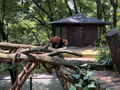 -云南野生动物园