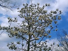 -白鹭湾湿地公园