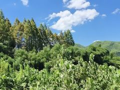 -将军关探险漂流