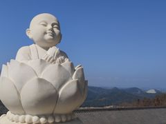 -庐山风景名胜区-东林大佛