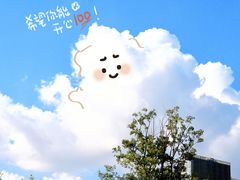 -上海山野camping·户外天幕烧烤·团建拓展营地