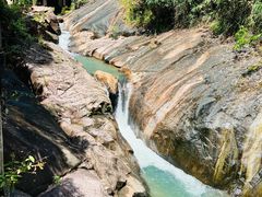 -广州白江湖森林公园